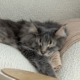 Mumu
